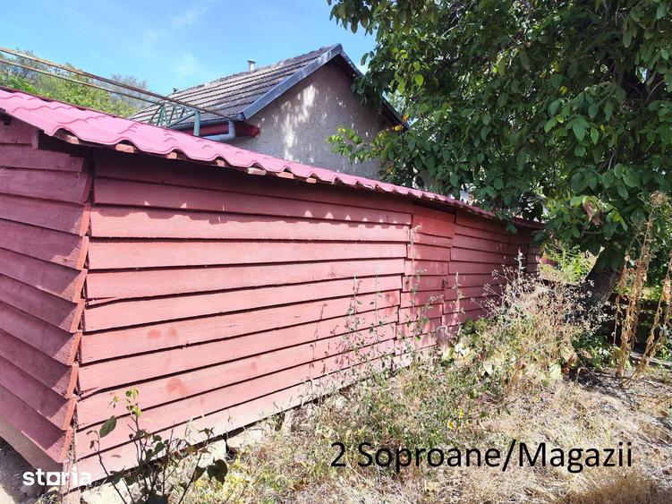 Casă cu 4 camere cu Teren 817 Mp în Gura Vadului