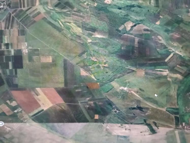 Teren de 10000 mp, în Central