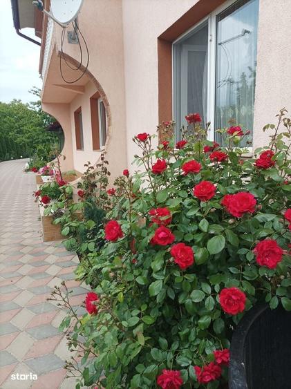 Casă cu 4 camere în Brehuiești