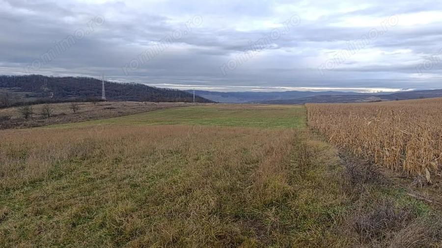 Teren de 20000 mp, în Saschiz