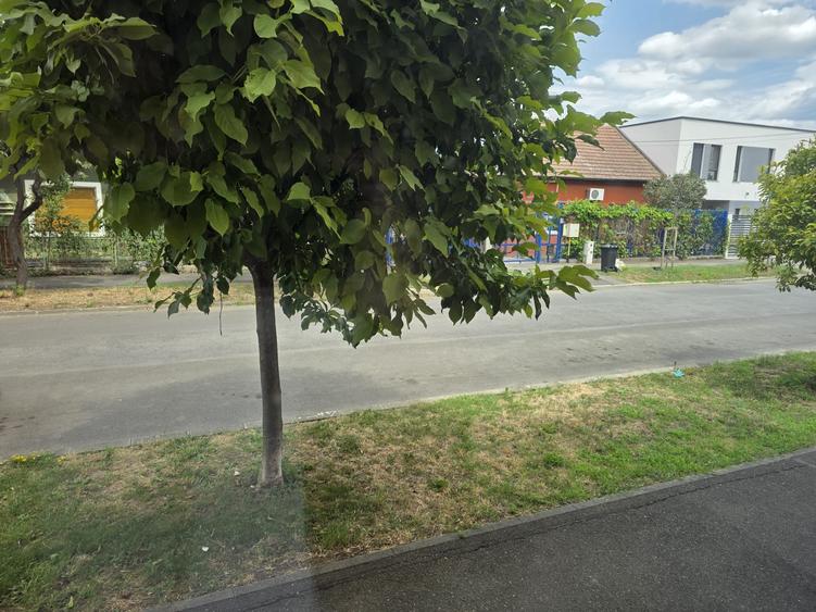 Birou, de 43 mp, în Lipovei
