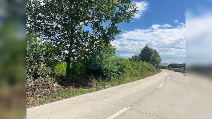Teren de 5194 mp, în Frătăuții Vechi
