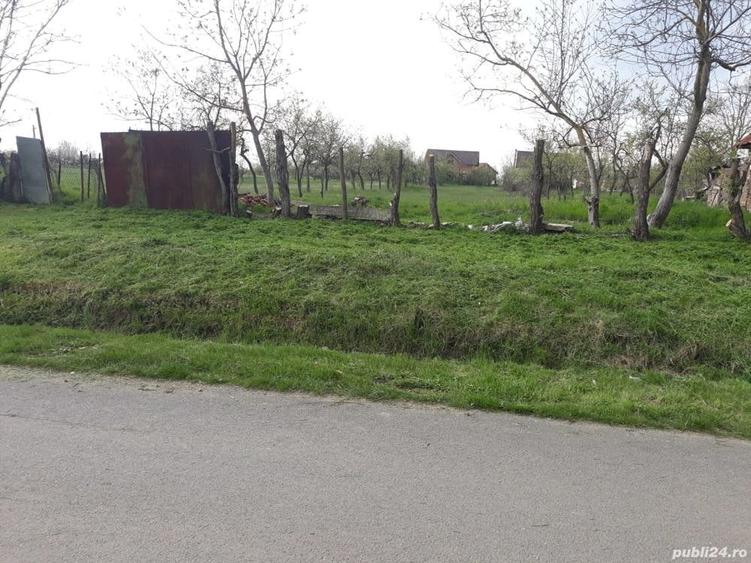 Teren de 1745 mp, în Ianova
