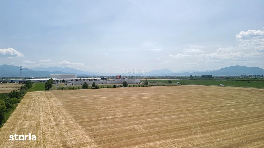 Teren de 60000 mp, în Hălchiu