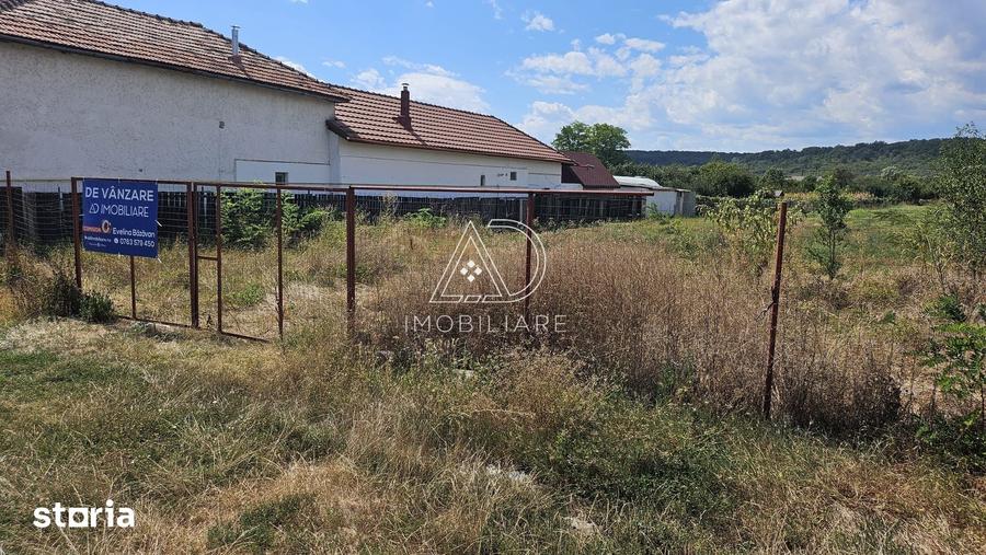 Teren de 3863 mp, în Turcinești
