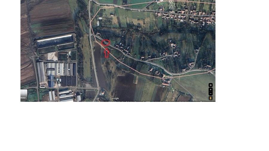 Casă în Pișchinți