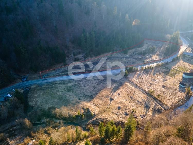 Teren Construcții intravilan de 12192 mp, în Colibița