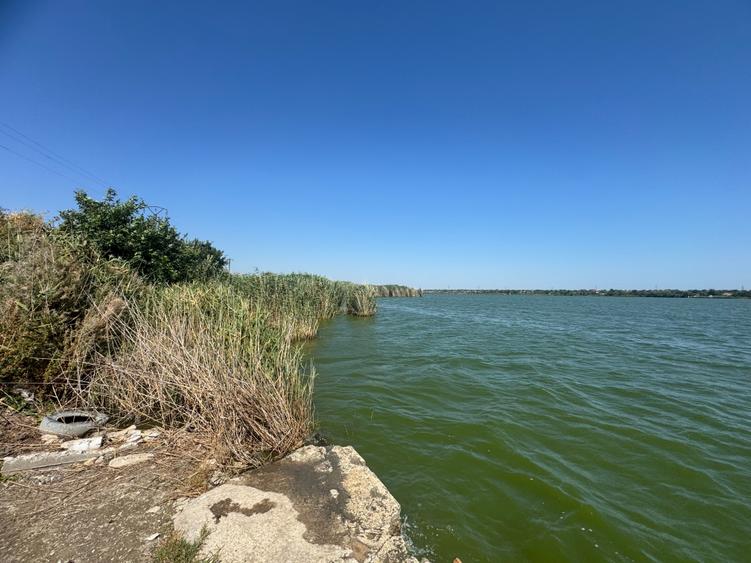 Teren agricol extravilan de 5000 mp, în Corbu