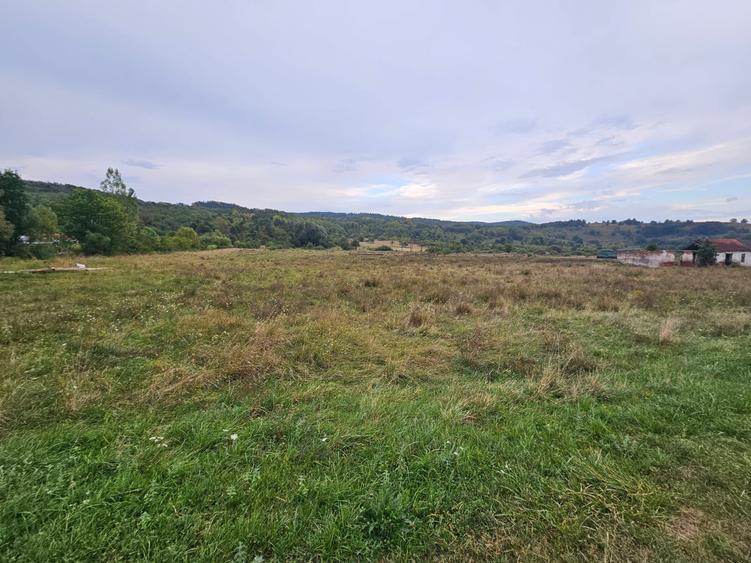 Teren Construcții intravilan de 47430 mp, în Petriș