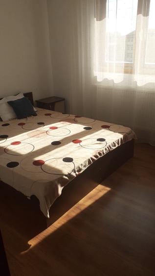 Apartament cu 2 camere semidecomandat în Craiovița Nouă