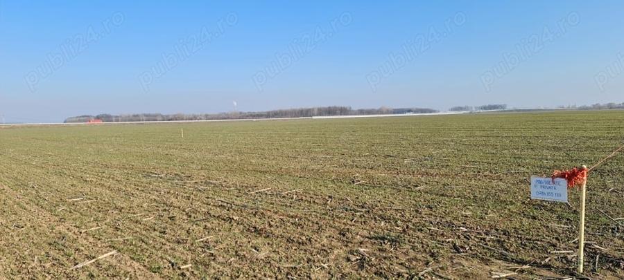 Teren de 941 mp, în 1 Decembrie