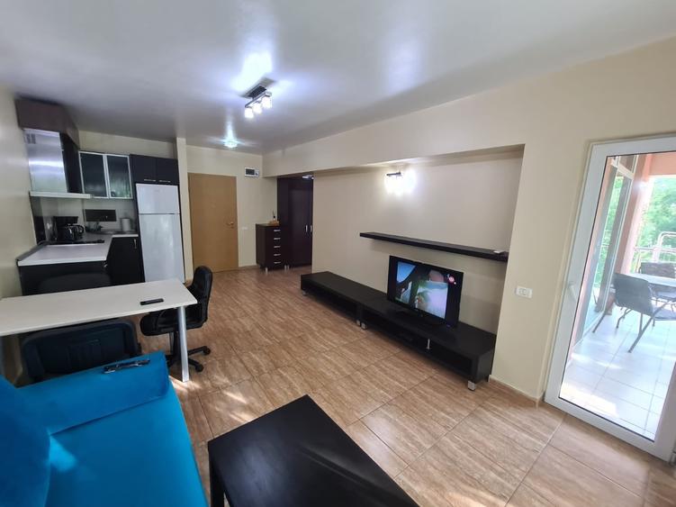Apartament cu 2 camere  Sat Vacanta zona hotel Parc 400 euro - 10