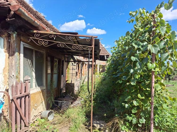 Teren de 3500 mp, în Sângeorzu Nou