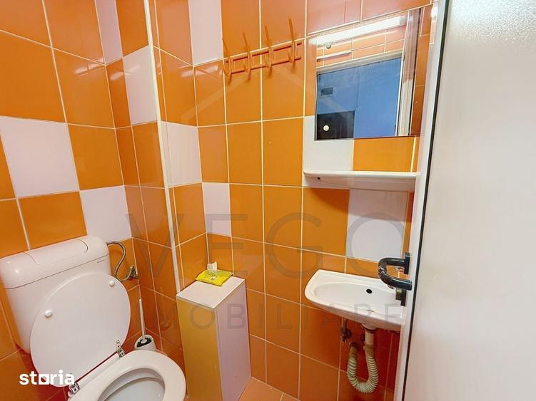 Apartament cu 3 camere, 70 mp, decomandat, zona Big Belly - USAMV - 10