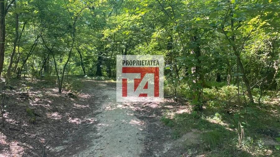 Teren de 4800 mp, în Lăpuș
