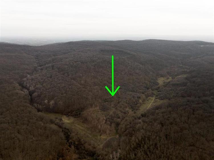 Teren Construcții intravilan de 1809 mp, în Săldăbagiu de Munte