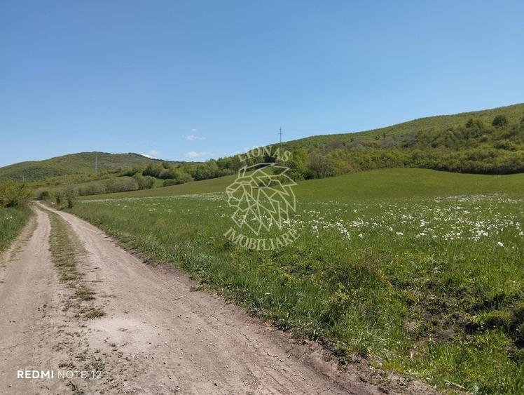 Teren agricol extravilan de 5400 mp, în Sărata
