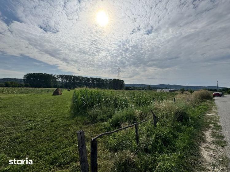 Teren de 7500 mp, în Mihăești