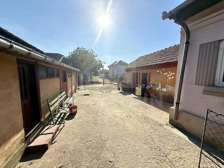 Teren de 1000 mp, în Cernele