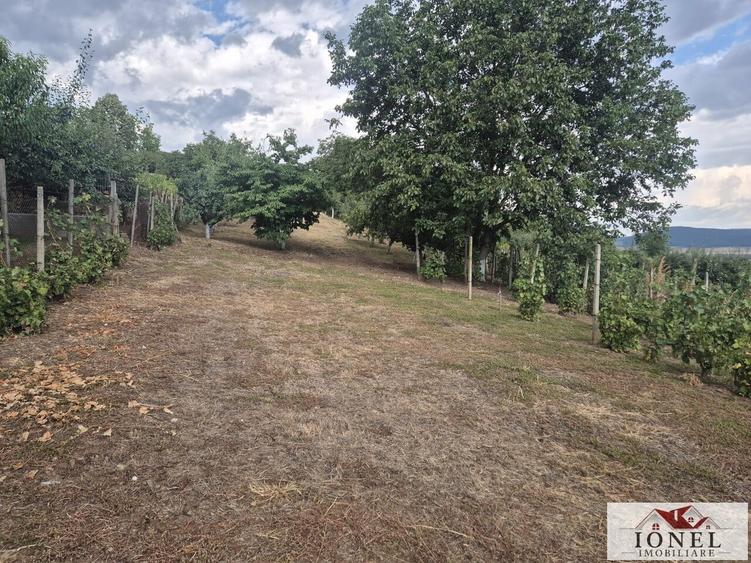 Teren Construcții intravilan de 1436 mp, în Micești