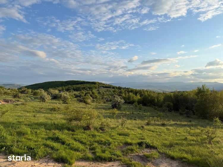 Teren de 1050 mp, în Ciurila