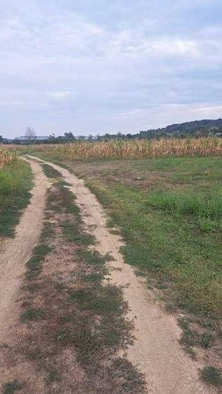 Spațiu comercial, în Argeșelu