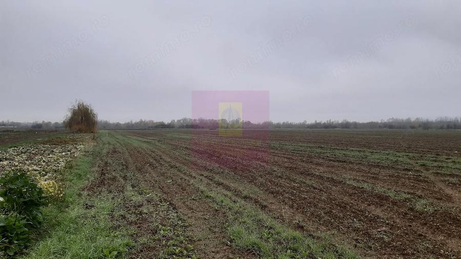 Teren de 2250 mp, în 1 Decembrie