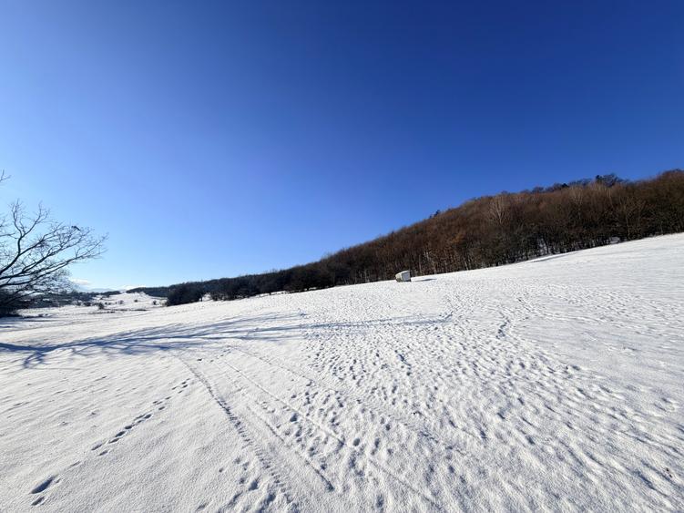 Teren agricol extravilan de 15000 mp, în Vulcan