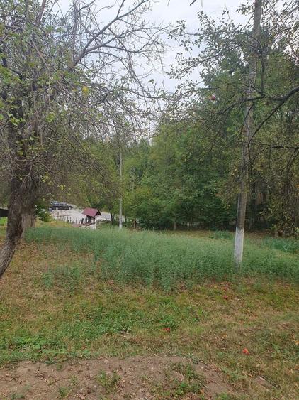 Casă cu 3 camere în Dobriceni