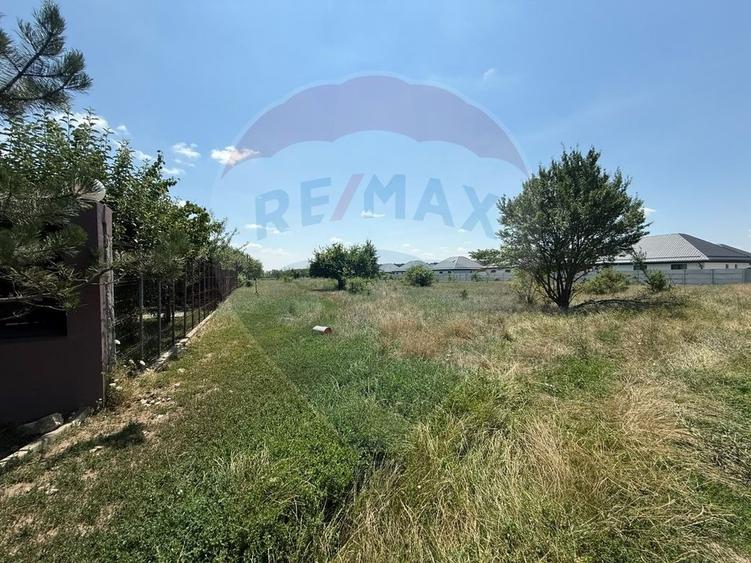 Teren Construcții intravilan de 5000 mp, în Tamași