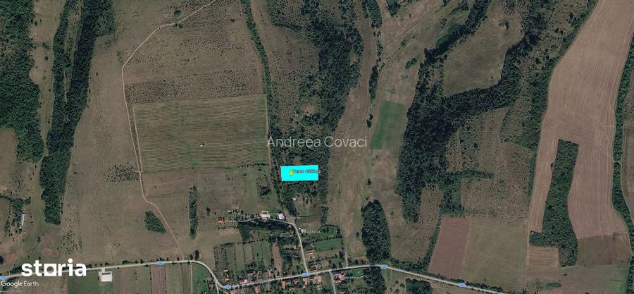 Teren extravilan 4300mp in Bogda, jude?ul Timi?