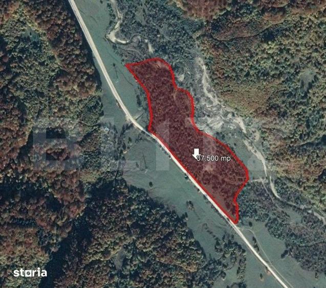 Teren de 37500 mp, în Tărlungeni