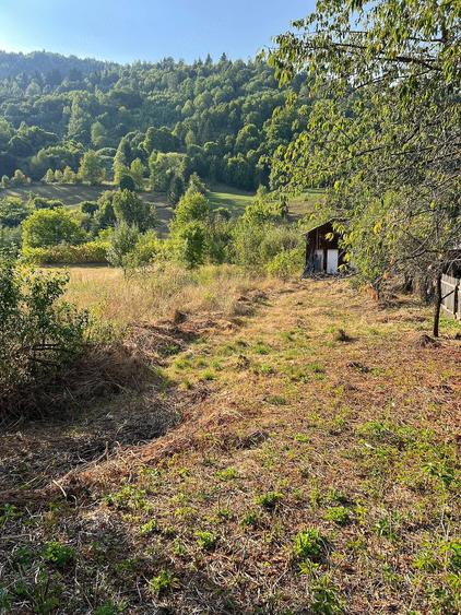 Teren de 1522 mp, în Ceahlău