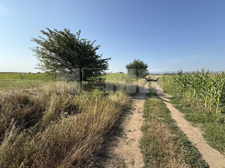 Teren agricol extravilan de 2300 mp, în Est