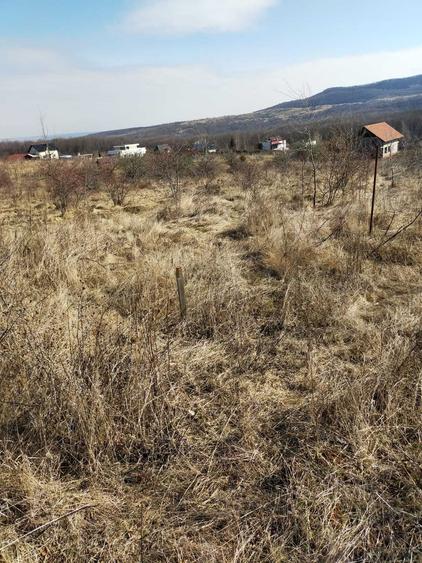 Teren intravilan de vanzare Salicea, jud. Cluj - 3