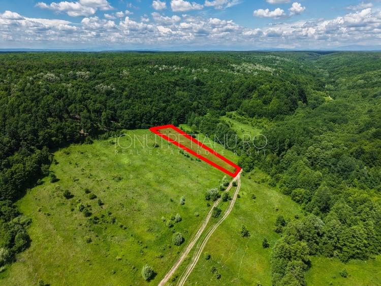 Teren agricol extravilan de 5500 mp, în Valea Mare-Podgoria