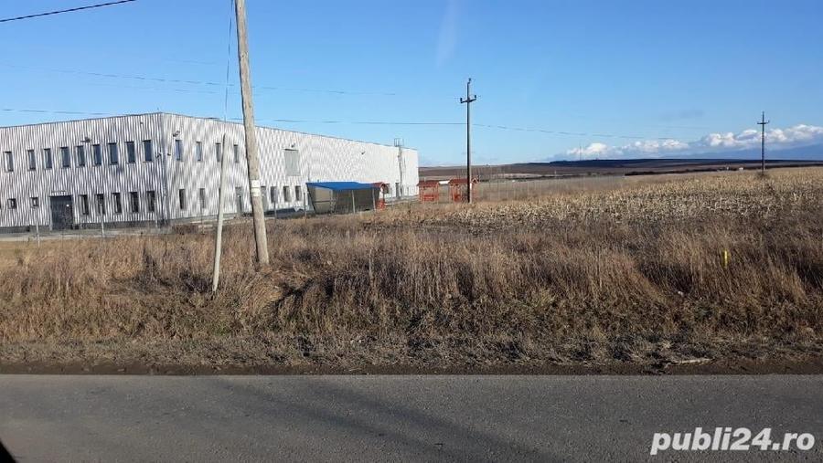 Teren de 22500 mp, în Central