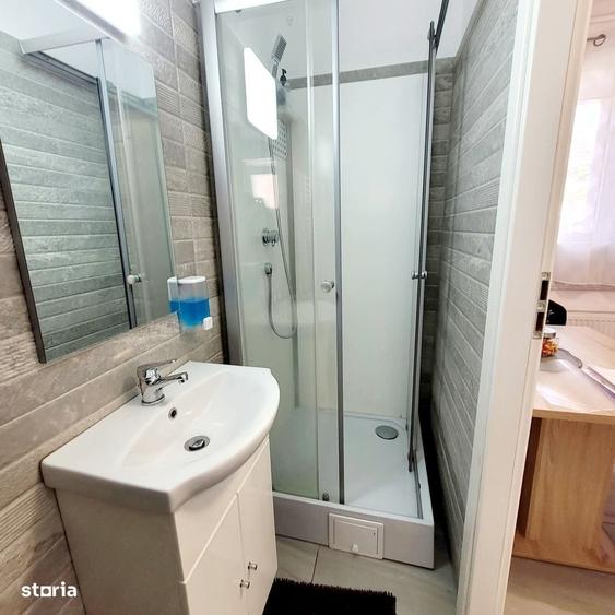 Casa de vanzare in Lazaret, cu teren de 80 mp si facilitati - 6