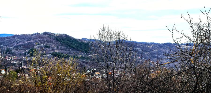 Teren agricol intravilan de 2623 mp, în Est