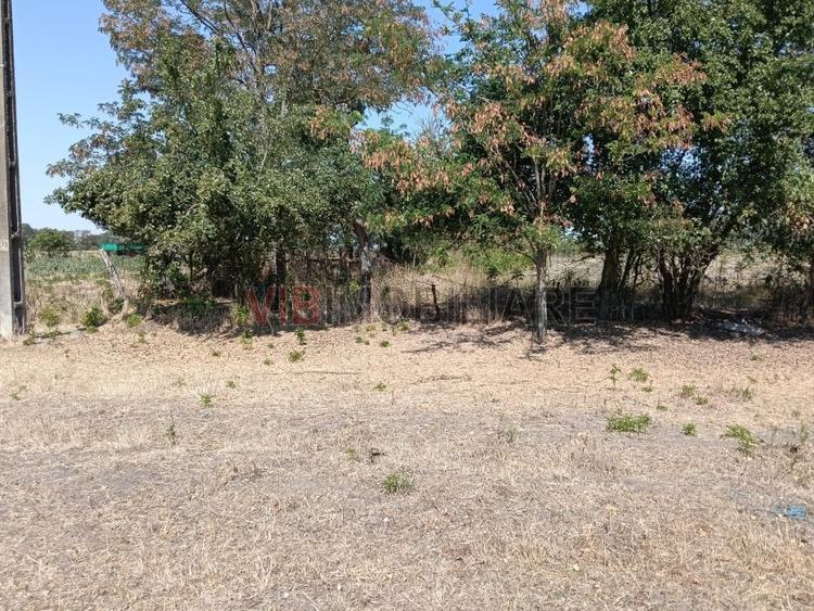 Teren Construcții intravilan de 7200 mp, în Chevereșu Mare