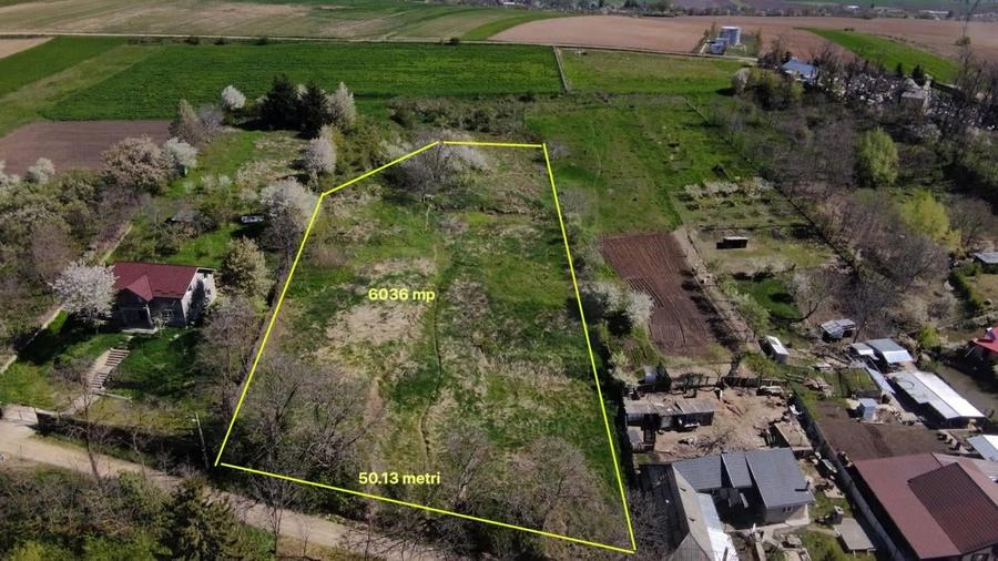 Teren investitie Turturesti-Girov - 1