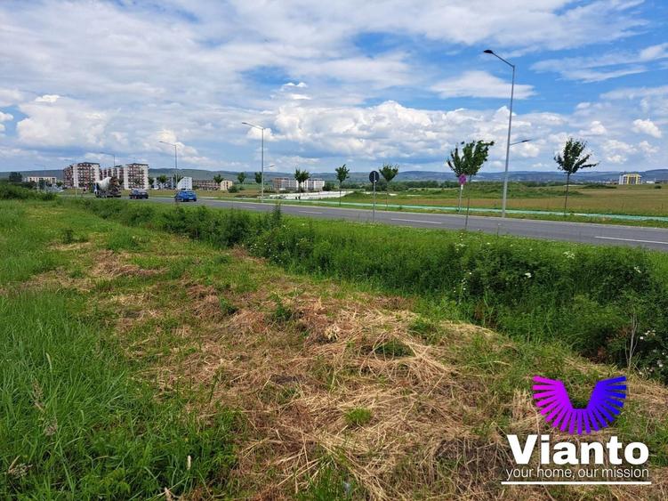 Teren Construcții intravilan de 9000 mp, în Turnișor
