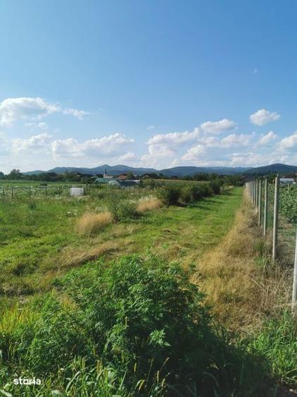 Teren de 2600 mp, în Recea