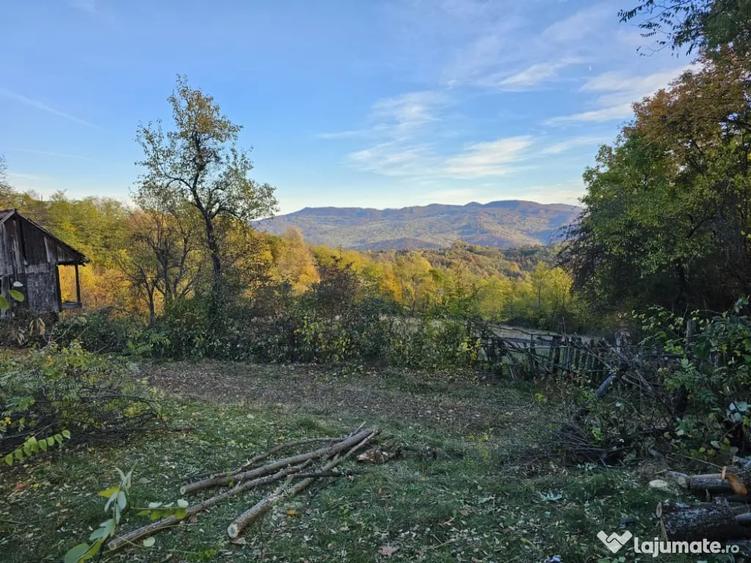 Teren de 950 mp, în Central