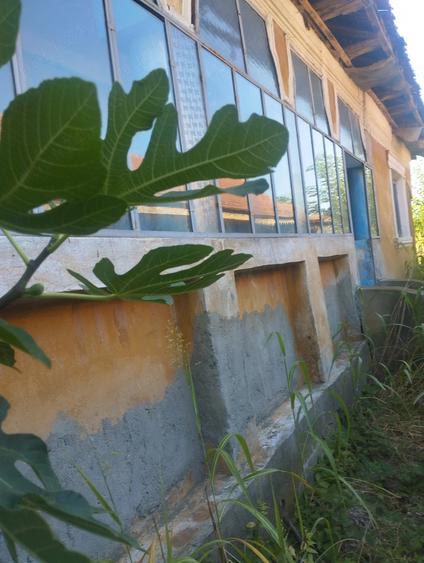 Casă cu 3 camere cu Teren 2600 Mp în Rogova