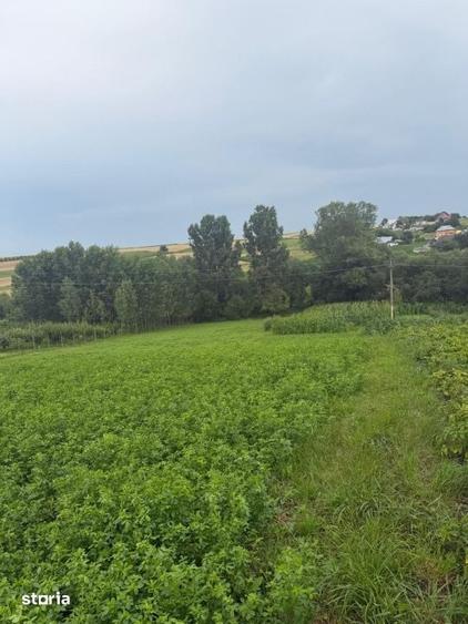Casă cu 2 camere cu Teren 2100 Mp în Bălcăuți