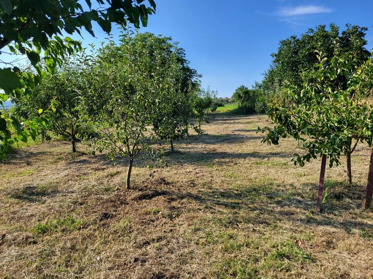 Casă cu 3 camere în Izvor