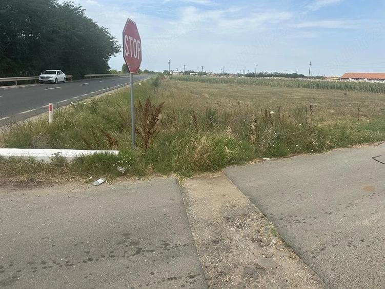 Teren de 2000 mp, în Măldăeni