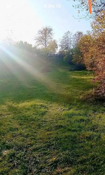 Teren de 3357 mp, în Valea Iașului