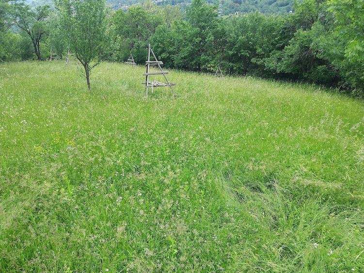 Teren de 1200 mp, în Valea Doftanei